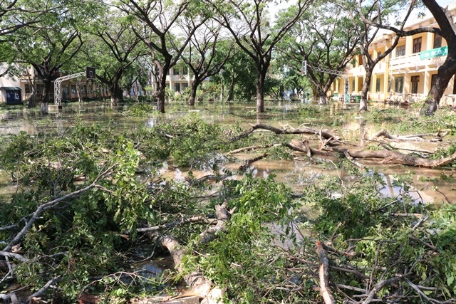 Trường THPT Chu Văn An bị thiệt hại nặng