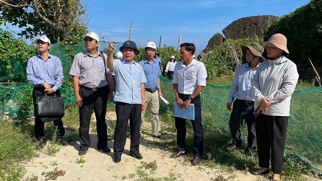 Chủ tịch UBND tỉnh Đặng Văn Minh kiểm tra một số dự án trên địa bàn huyện Lý Sơn