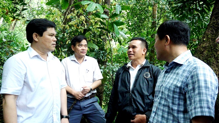 Phó Chủ tịch UBND tỉnh Trần Phước Hiền kiểm tra thực tế công tác bảo vệ, phát triển rừng trên địa bàn huyện Trà Bồng