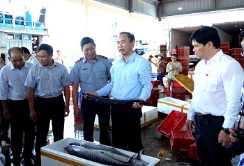 Thứ trưởng Bộ Nông nghiệp và Phát triển nông thôn kiểm tra chống khai thác IUU tại Quảng Ngãi