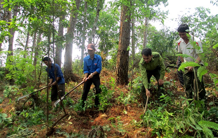 Hỗ trợ kinh phí bảo vệ rừng bố trí còn thiếu năm 2019 - 2020