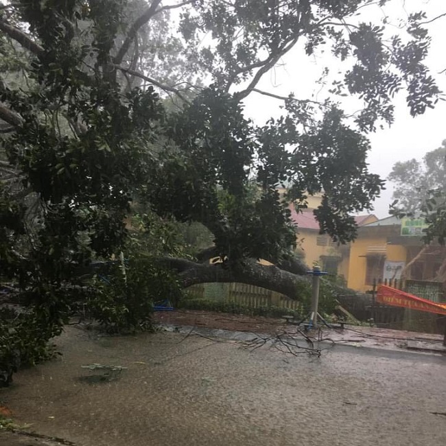 Sơn Hà gần 1.700 nhà hư hại do bão số 9