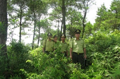 Tăng cường công tác bảo vệ và phát triển rừng