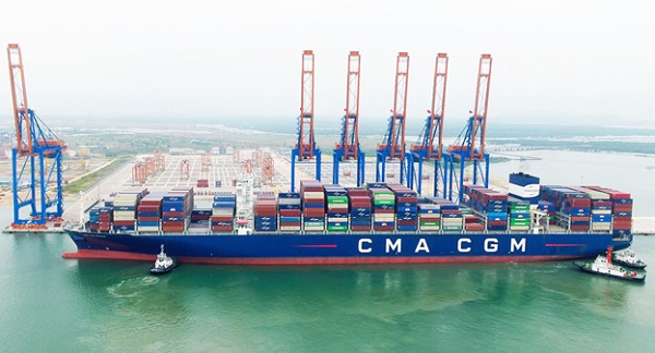 Vượt 'bão COVID-19', xuất nhập khẩu Quảng Ngãi lập kỷ lục mới