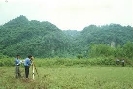 Gia hạn việc rà soát, đo đạc xác định diện tích đất lâm nghiệp quy hoạch rừng phòng hộ