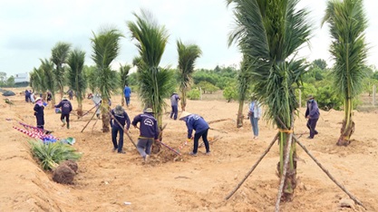 Kế hoạch thực hiện chương trình gây “Quỹ trồng cây xanh”