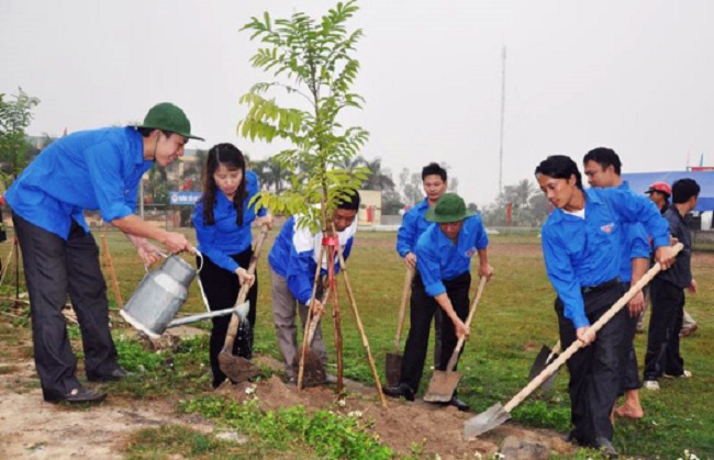 Kế hoạch phát động “Tết trồng cây” cấp tỉnh giai đoạn 2023 – 2025