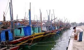 Chỉ đạo về Dự án Khu neo đậu tránh bão cho tàu cá kết hợp cảng cá Cổ Lũy