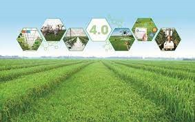 Kế hoạch chuyển đổi số ngành Nông nghiệp và Phát triển nông thôn giai đoạn 2023 – 2025, định hướng đến năm 2030