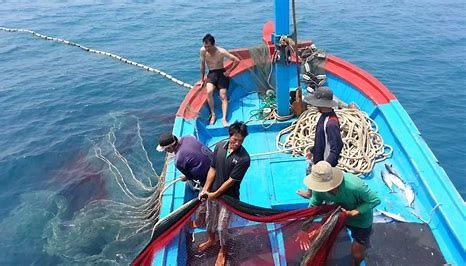 Chống khai thác hải sản bất hợp pháp, không báo cáo và không theo quy định