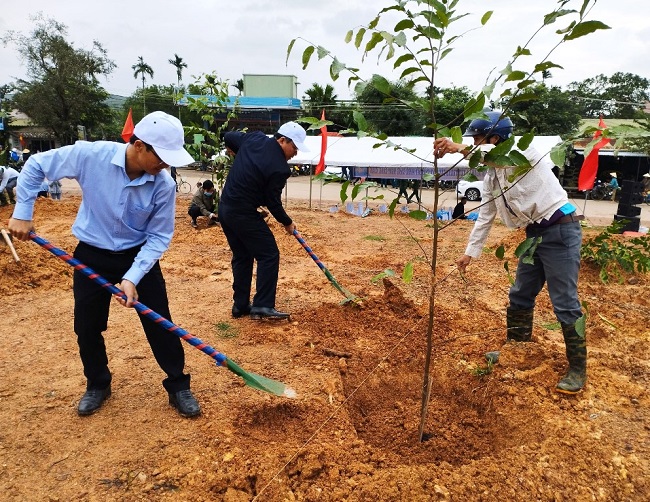 Tổ chức “Tết trồng cây” và tăng cường công tác quản lý bảo vệ, phát triển rừng, ngay từ đầu năm 2024