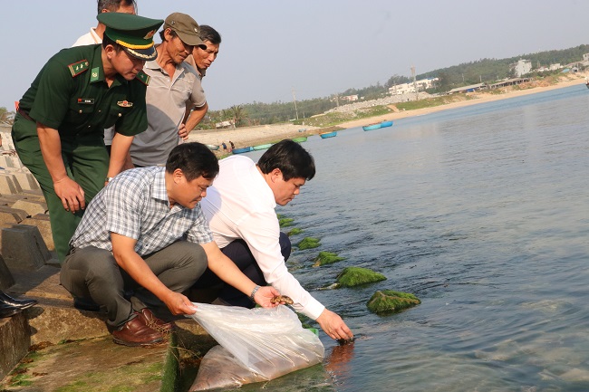 Phó Chủ tịch UBND tỉnh Trần Phước Hiền tham dự Lễ Phát động phong trào toàn dân tham gia bảo vệ, tái tạo nguồn lợi thủy sản