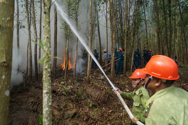 Triển khai quyết liệt các biện pháp phòng cháy, chữa cháy rừng trên địa bàn tỉnh