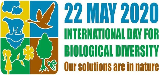 Tổ chức các hoạt động hưởng ứng Ngày quốc tế Đa dạng sinh học