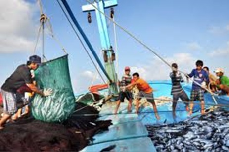 Kế hoạch thực hiện Hiệp định biện pháp ngăn chặn khai thác thủy sản bất hợp pháp