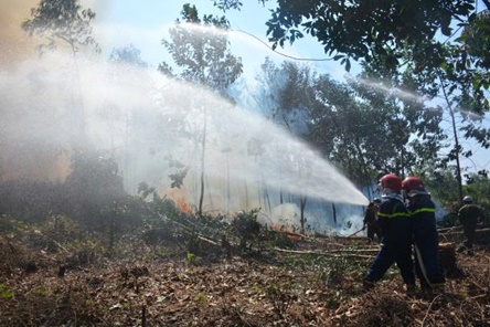 Tăng cường phòng cháy, chữa cháy rừng