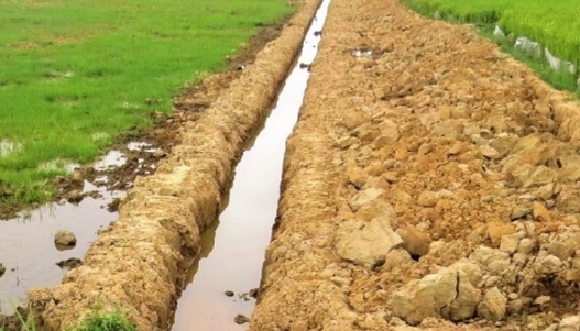 Sử dụng tầng đất mặt của đất chuyên trồng lúa nước khi chuyển sang mục đích phi nông nghiệp